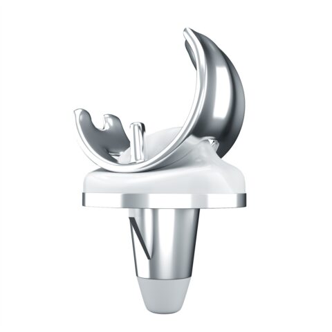 Artificial Joint