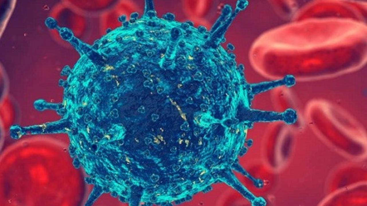 Allergy Testing; Why Skin Prick testing doesnt always cut it