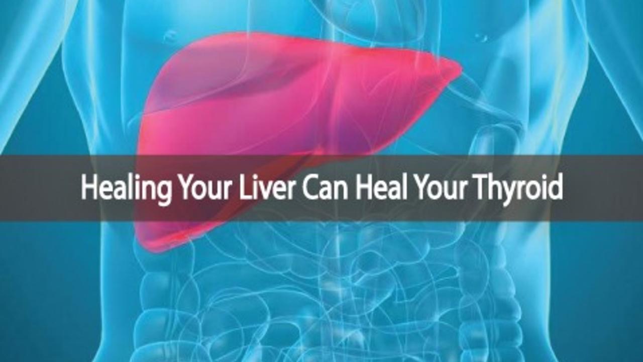 An intricate link; The Thyroid and the Liver