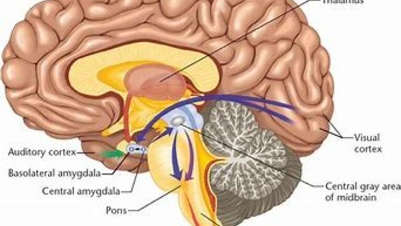 Are you a rebel at heart?