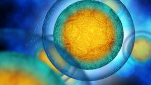 Cell Danger Response; Why Methylation might not be something to tamper with, and why Naturopathic Medicine makes sense