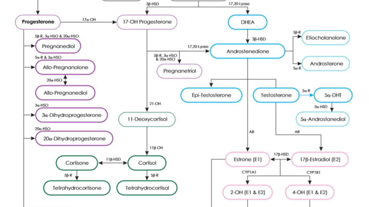 Hormone Testing; Serum, Saliva, or Urine?