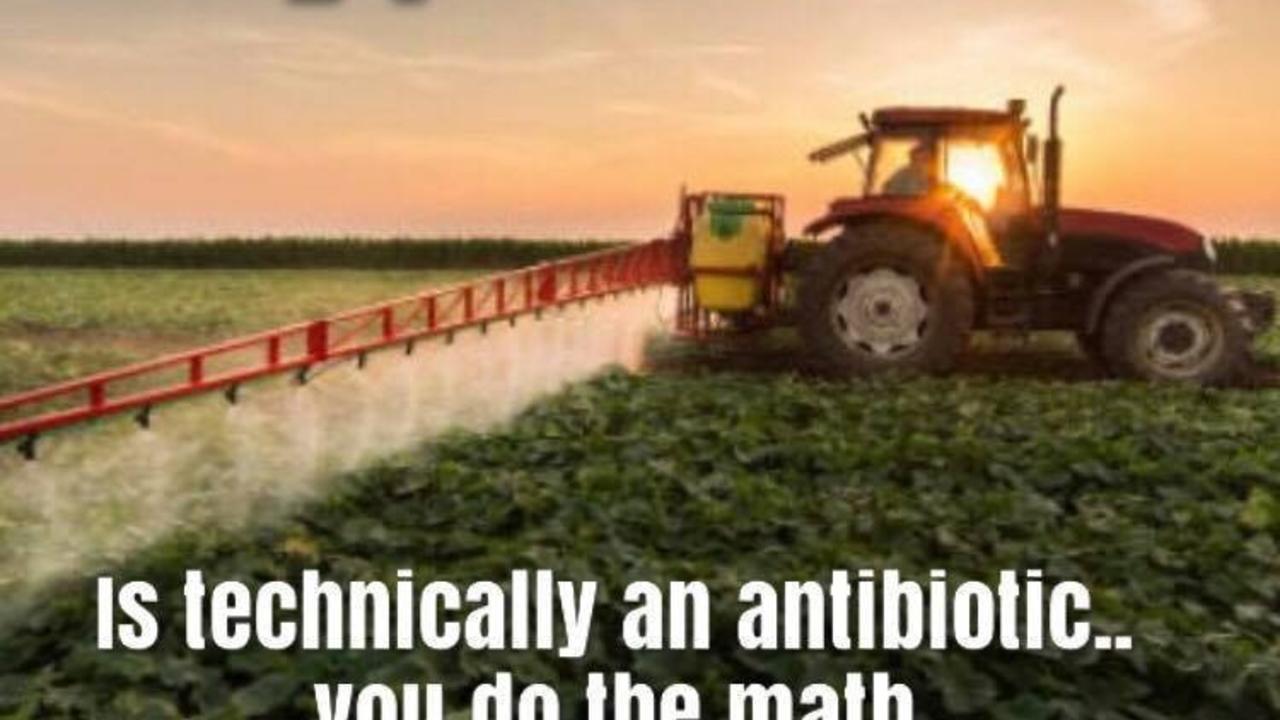 Glyphosate, the silent antibiotic