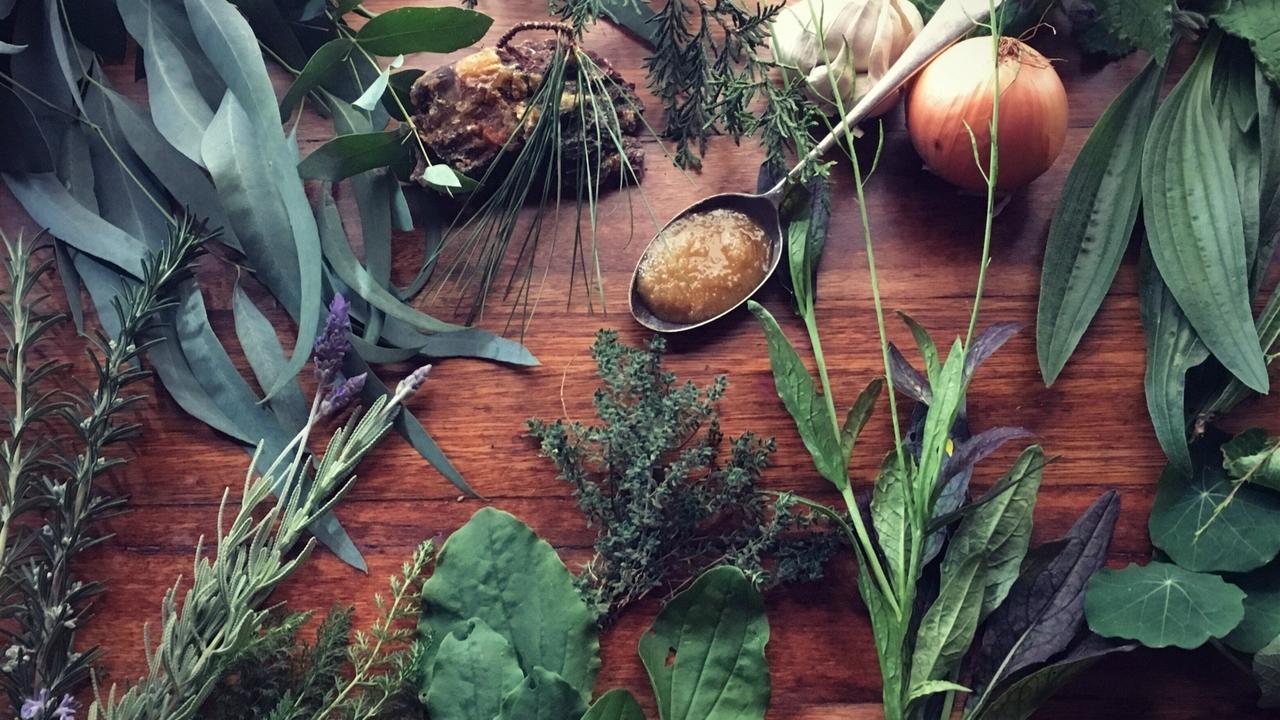 Home herbal relief for coughs and colds