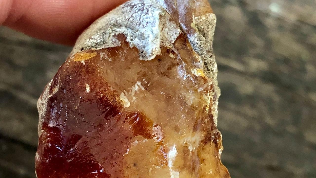 Pine Resin: How to render it for remedies