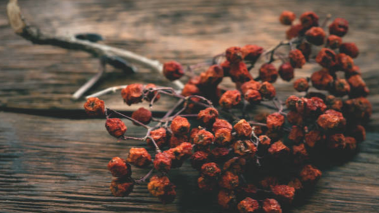 Storing herbs correctly