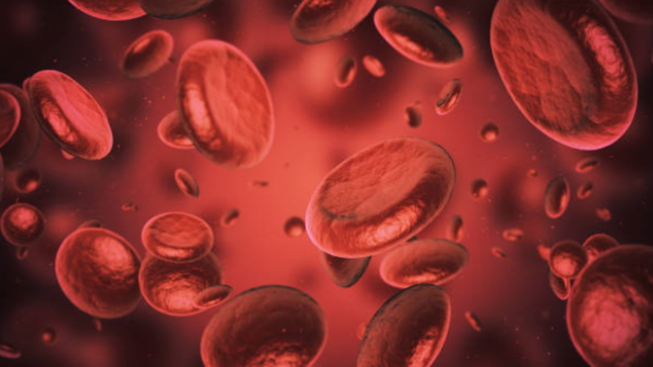 Why are you low in Iron?