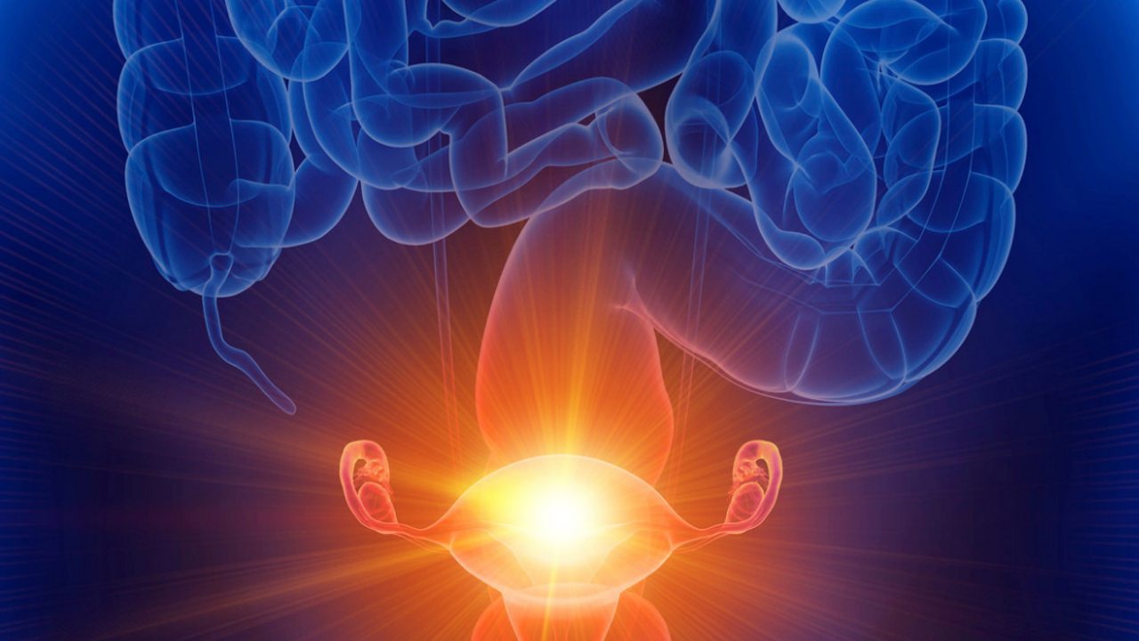 The Estrobolome; How the gut influences your hormones