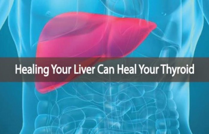 An intricate link; The Thyroid and the Liver