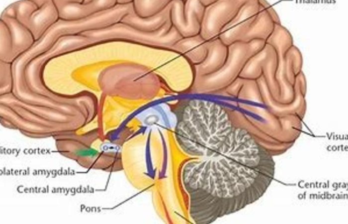 Are you a rebel at heart