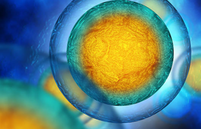 Cell Danger Response; Why Methylation might not be something to tamper with, and why Naturopathic Medicine makes sense