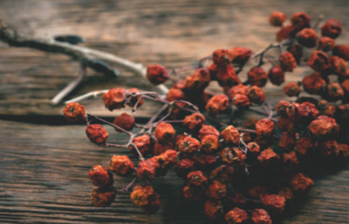 How to store and package our herbs and herbal products