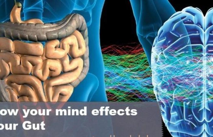 How your Mind affects your Gut; It works both ways!
