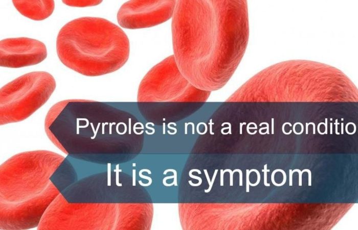 Pyrroles from a naturopathic standpoint