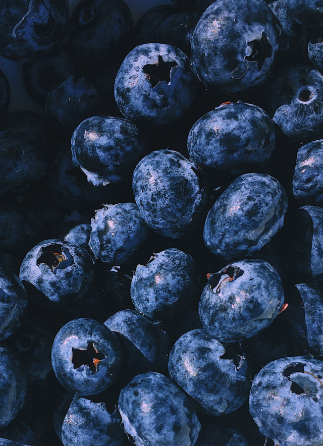 blueberries